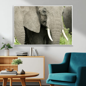 Wild Elephant Wall Art Canvas Print
