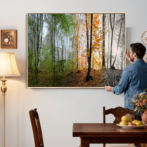 Four Seasons Wall Art Forest Canvas Print – Triptych