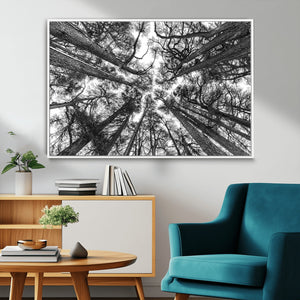 Trees Contemporary Art Canvas Print