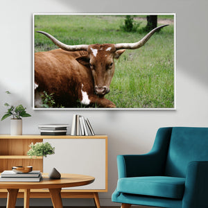 Longhorn Cow Animal Wall Art Canvas Print