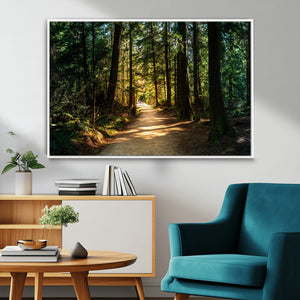 Sunlit Forest Pathway Canvas Print | 3 Panel Large Nature