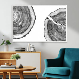 Abstract Large Tree Rings – Minimalist Black and White Wood
