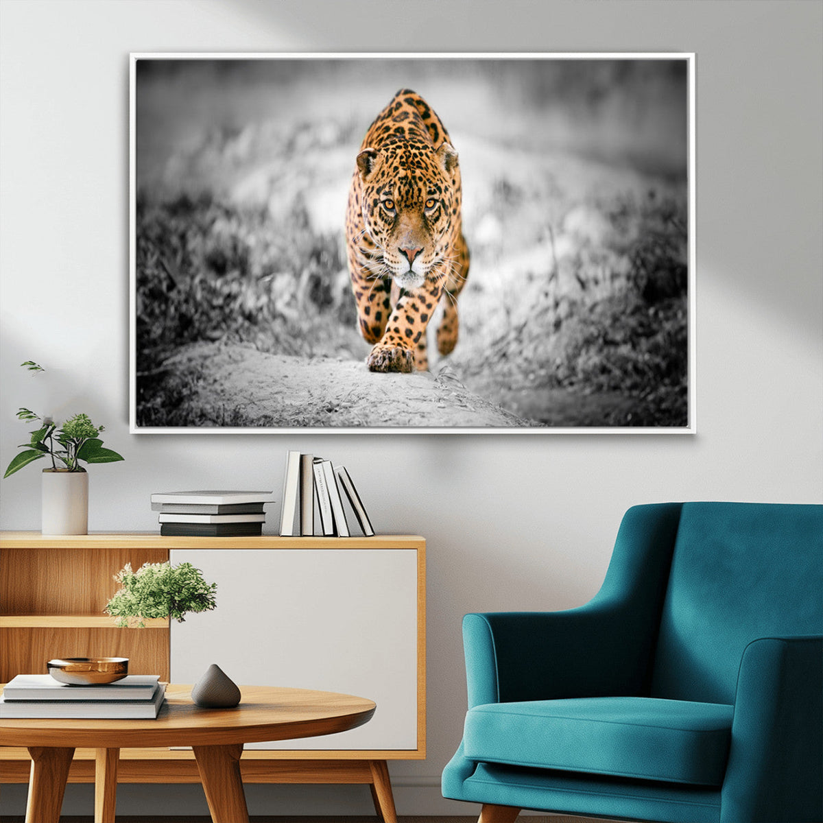 Jaguar Wall Art Canvas Print - Majestic Big Cat in Focused
