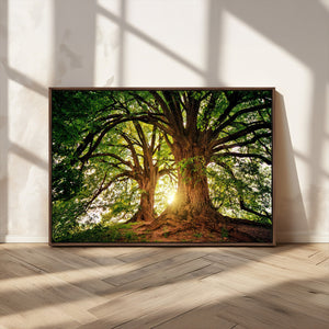 Majestic Ancient Tree Wall Art, NatureCanvas Print, Woodland