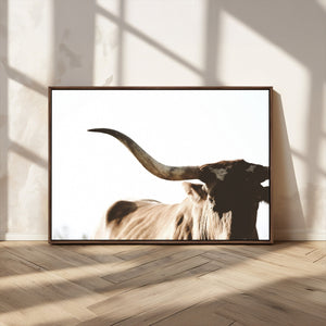 Texas Longhorn Wall Art Canvas Print | 3-Panel Large