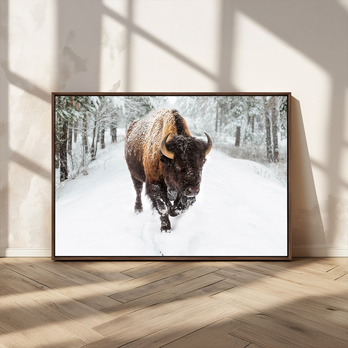 Bison Wall Art Canvas Print For Farmhouse, Animal Canvas