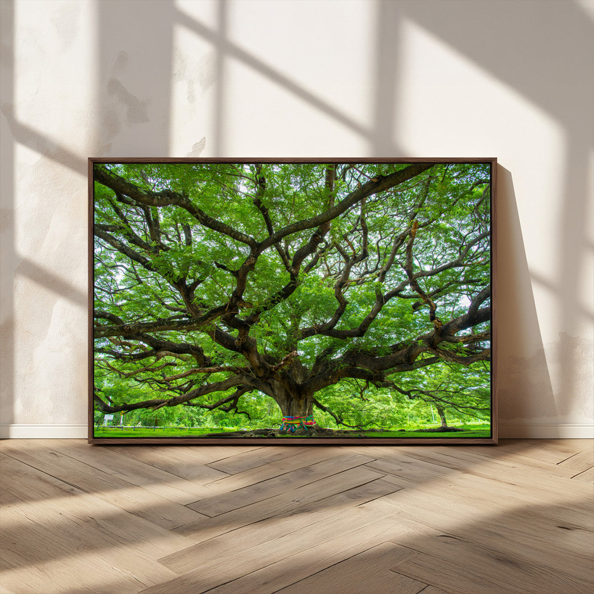 Angel Oak Tree Wall Art Canvas Print – Framed Majestic