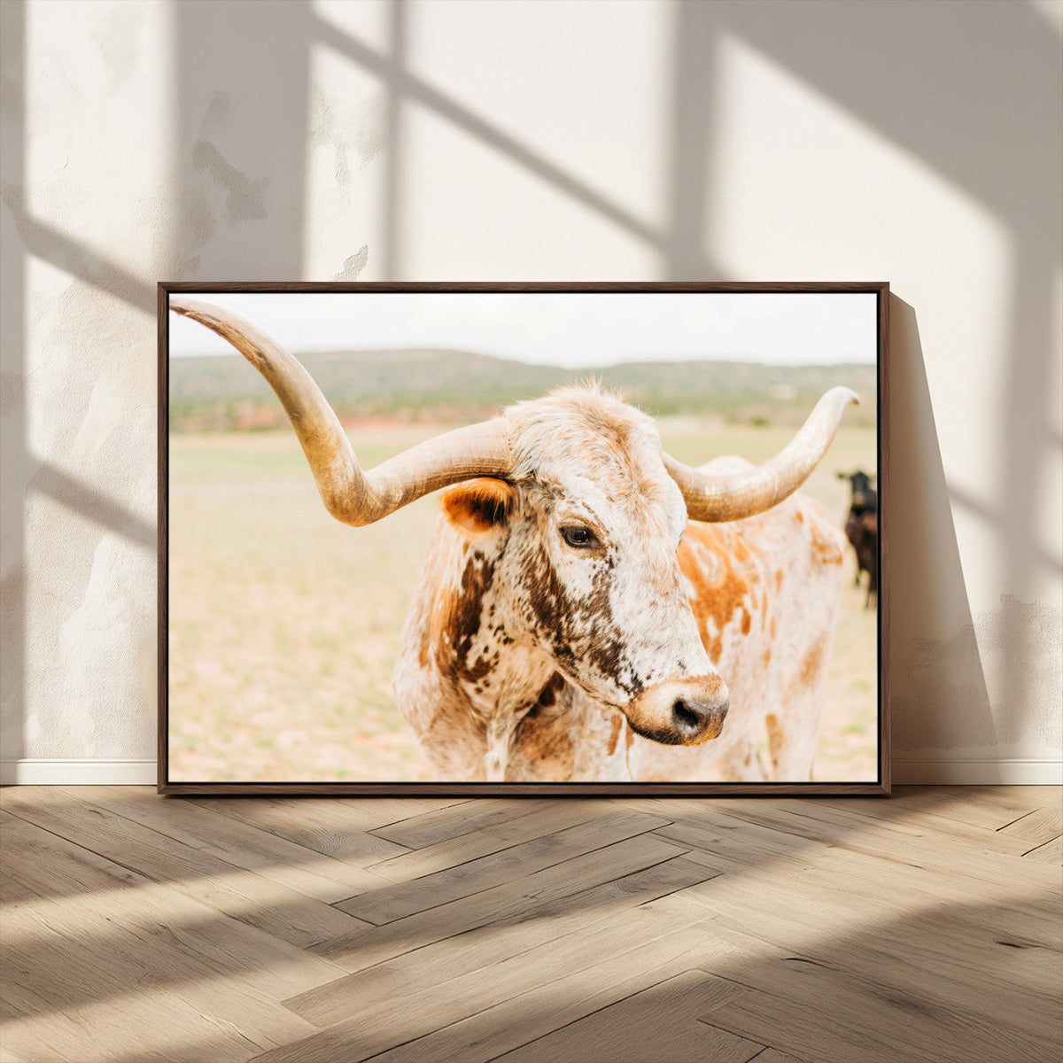 Texas Longhorn Wall Art Canvas Print – Framed Spotted Cow