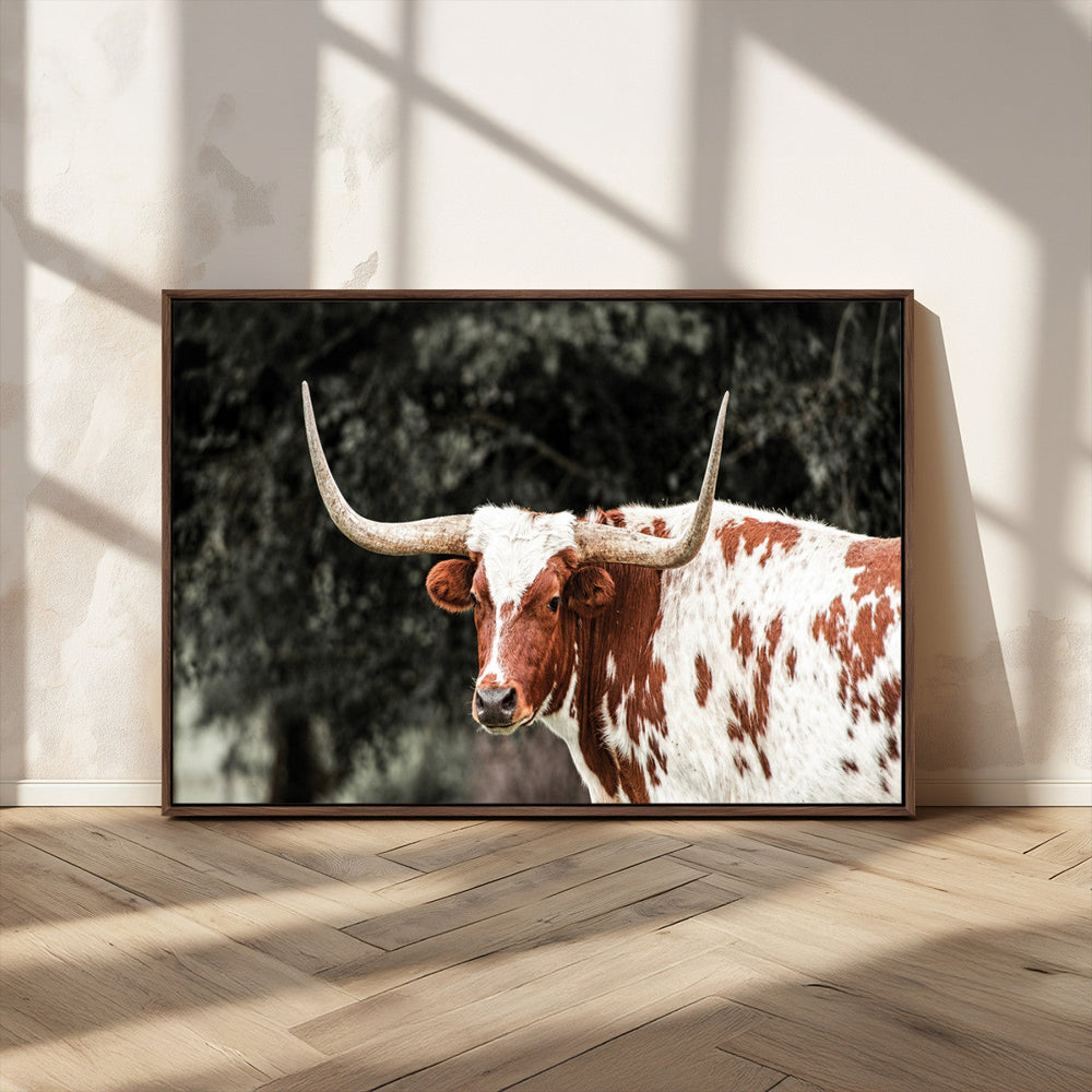 Texas Longhorn Wall Art Canvas Print – Framed Spotted Bull