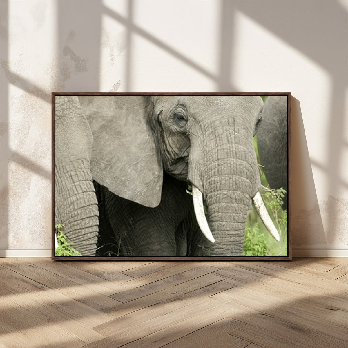 Wild Elephant Wall Art Canvas Print