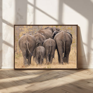 Wild Elephant Wall Art Canvas Print
