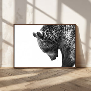 Black and White Grizzly 399 Bear Canvas Print Wall Art |