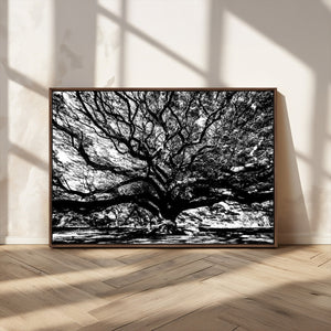 Mighty Angel Oak Wall Art | Angel Oak Tree Art Print