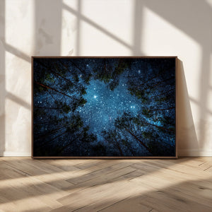 Forest and Stars Wall Art Canvas Print