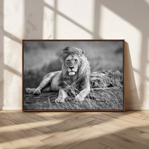King Forest Lion Wall Art Canvas Print – Framed Majestic