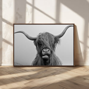 Texas Cow Wall Art Canvas, Texas Longhorn Cattle Canvas