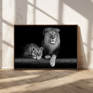 Large Black and White Lion Couple Wall Art Canvas Print –