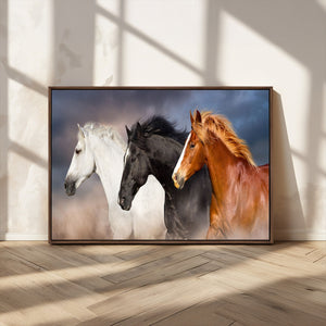 Animal Wall Art Three Horses Farmhouse Art Canvas, Framed
