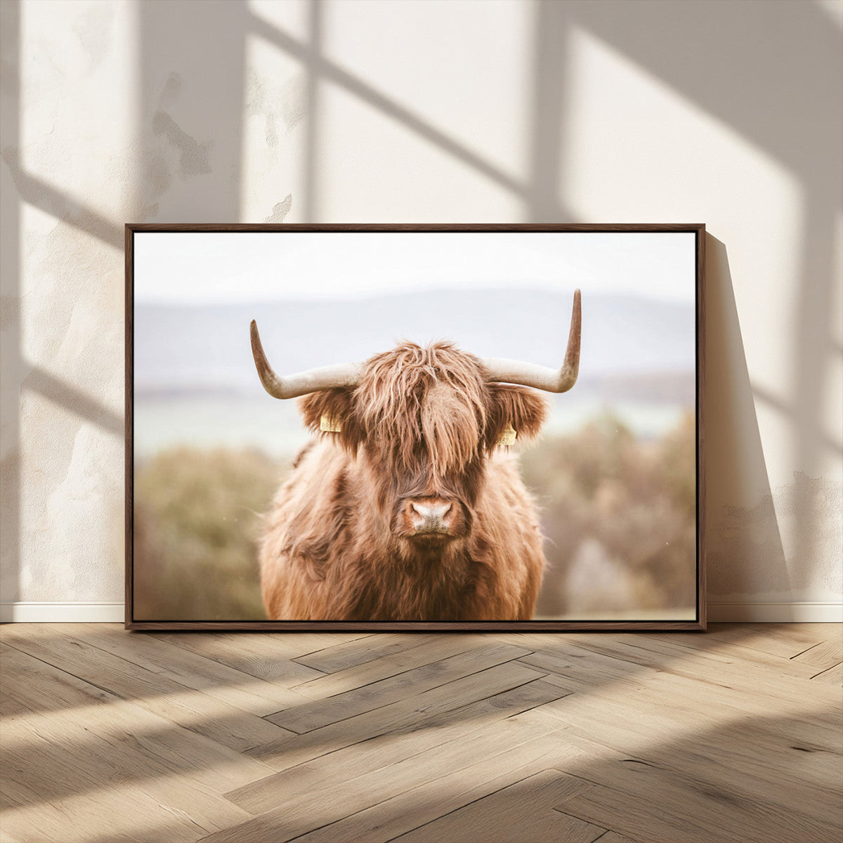 Scottish Serene Highland Cow Canvas Wall Art – Serene