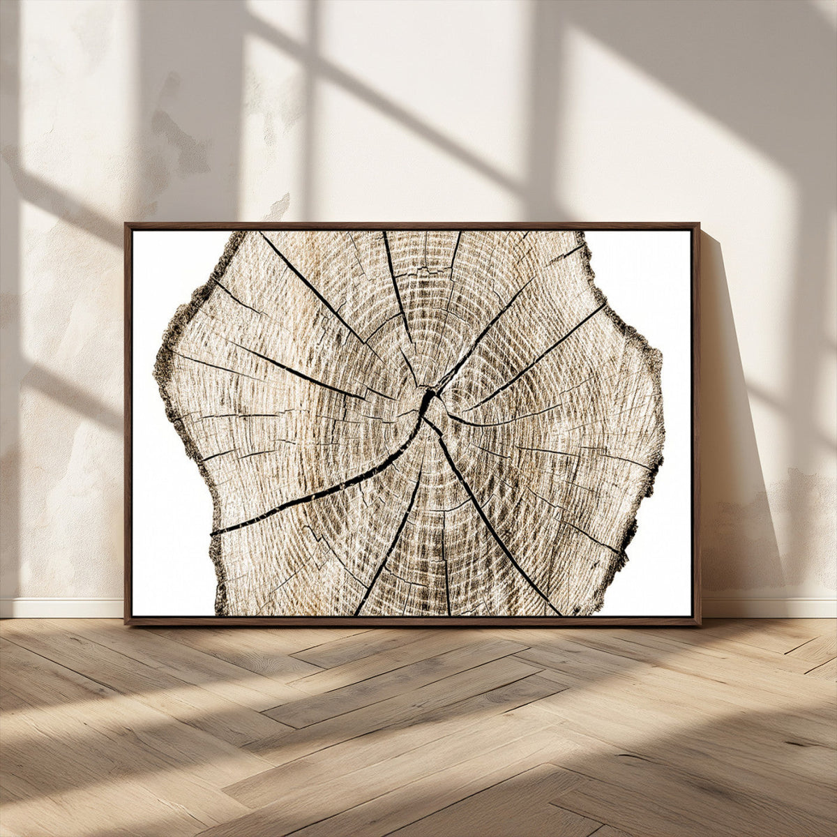 Abstract Wood Tree Ring Wall Art - Ready to Hang Minimalist