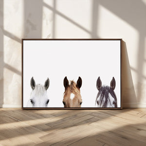 Horse Prints Set, Set of 3 Horse Wall Art, Horses Portraits,