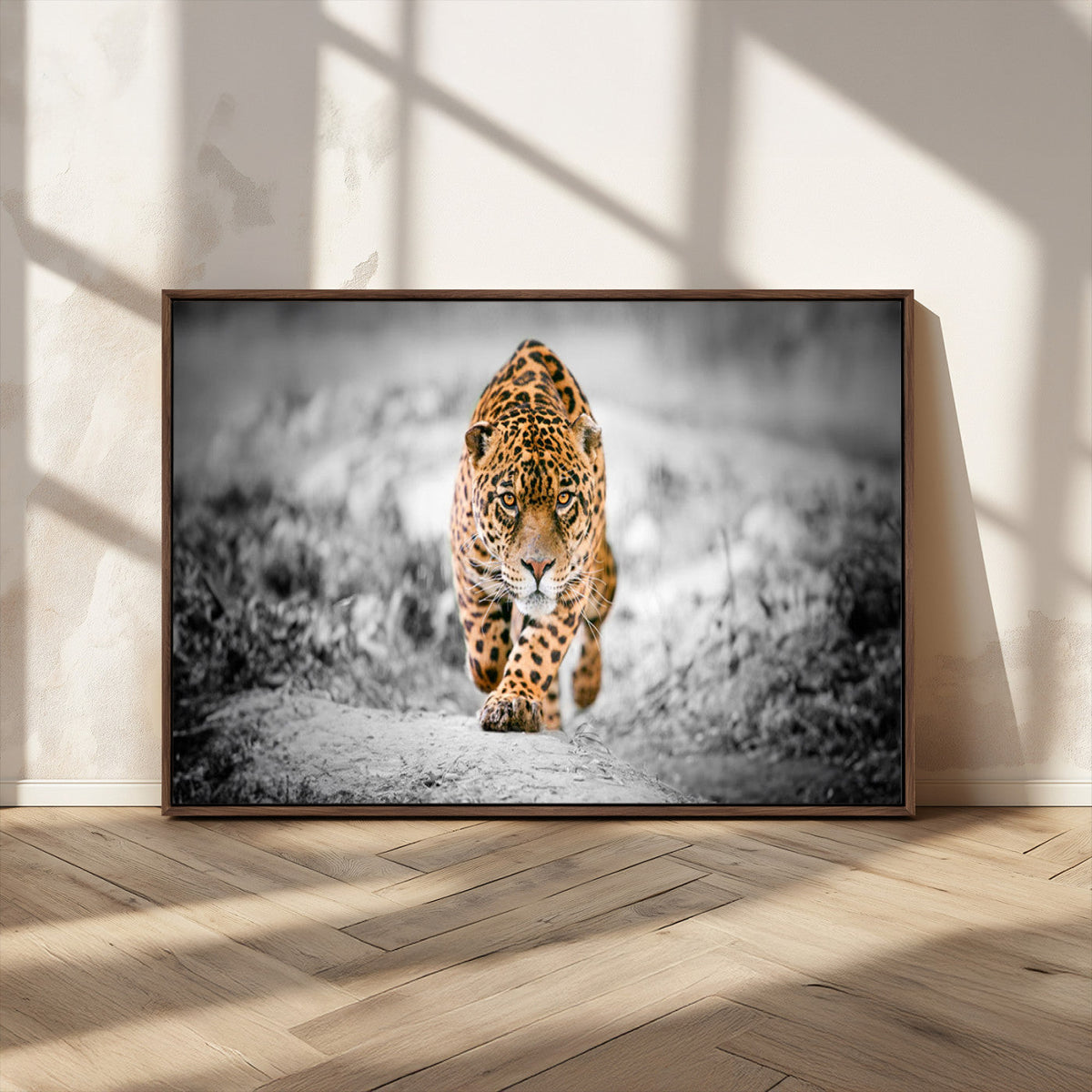 Jaguar Wall Art Canvas Print - Majestic Big Cat in Focused