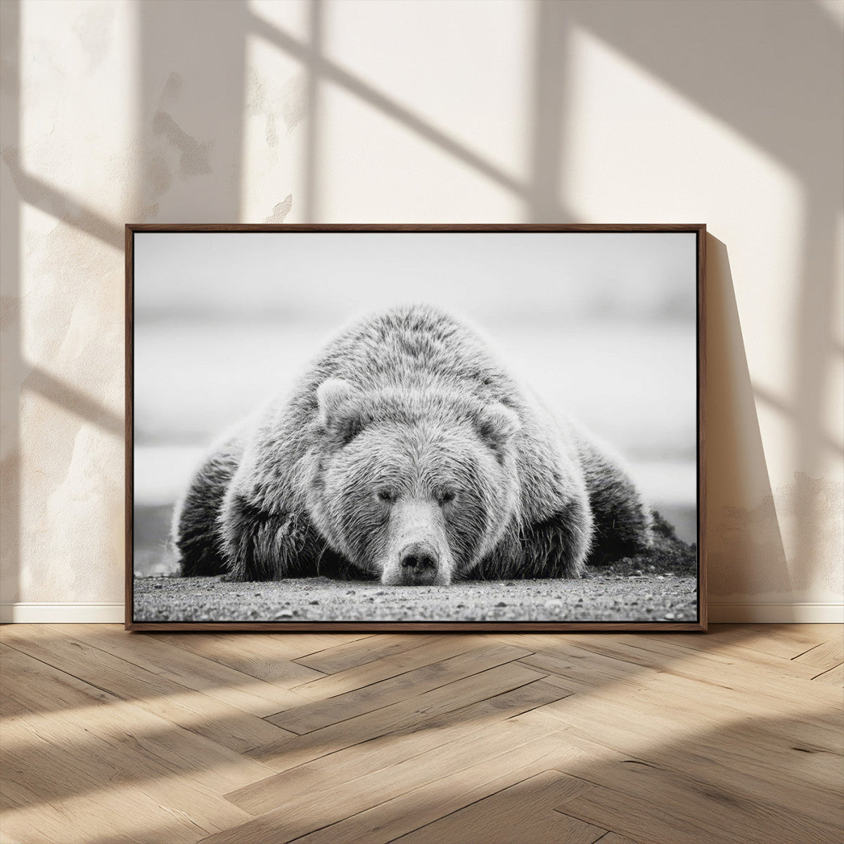 Resting Grizzly Bear Wall Art Canvas Print – Majestic Lazy