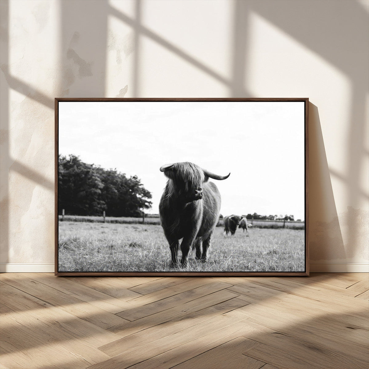 Black and White Highland Cow Wall Art Canvas Print | Rustic