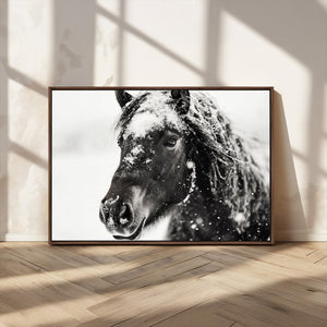 Framed Black and White Horse Wall Art | Ready to Hang and