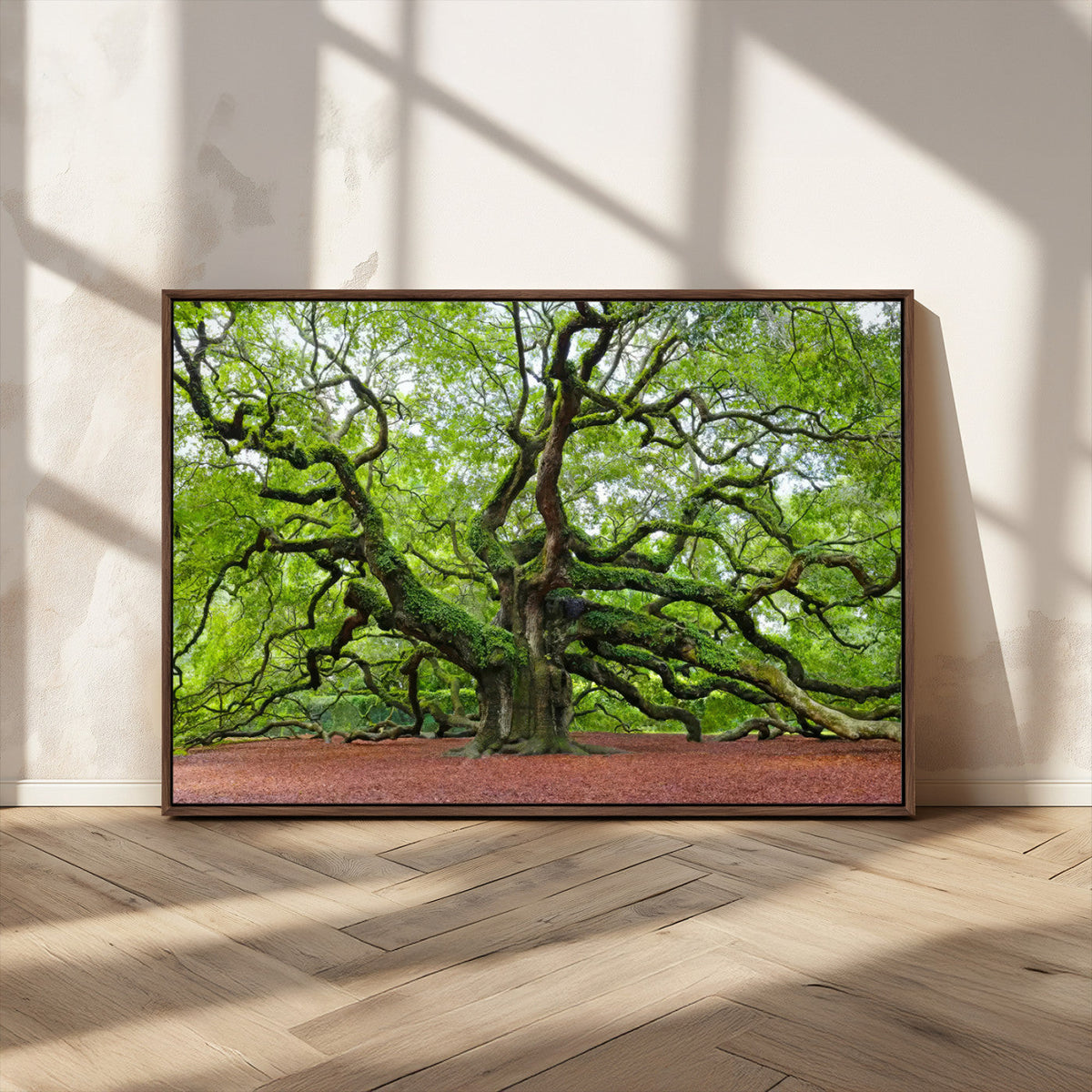 Framed Angel Oak Tree Wall Art - 3-Panel Canvas Prints,