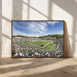 University of Charlotte 49ers Football Team Print -