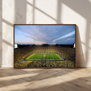 University of Michigan Wolverines Football Team Print - Ann