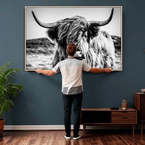 Black and White Scottish Cow Canvas Wall Art Highland Cattle