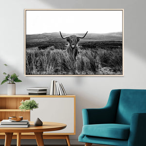 Black and White Highland Cow Canvas Wall Art, Longhorn
