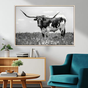 Texas Black White Highland Longhorn Cow Wall Art Canvas