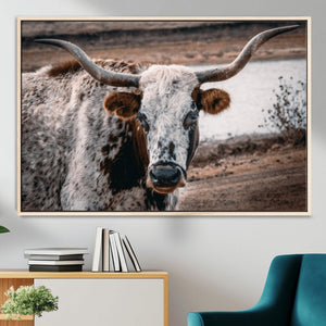 Texas Longhorn Wall Art Canvas Print – Framed Spotted Bull
