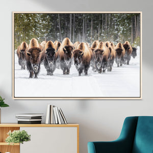 American Bison Herd Wall Art Canvas Print – Powerful Winter