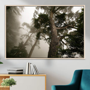Misty Forest Wall Art Canvas Print, Tall Trees and Foggy