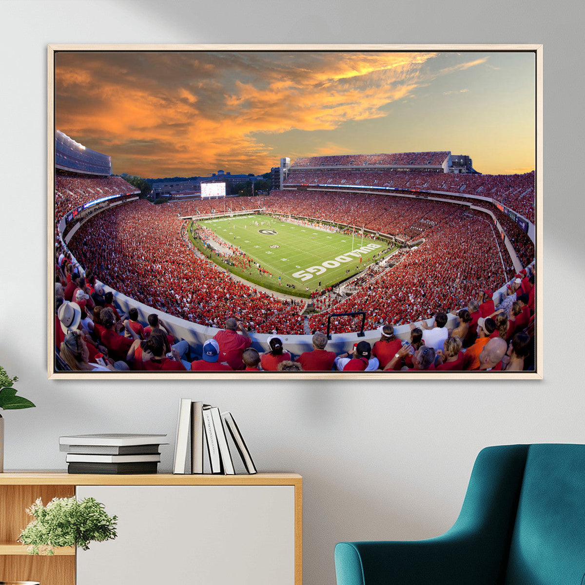 Dooley Stadium Wall Art, Sports Arena Canvas Print, Dooley