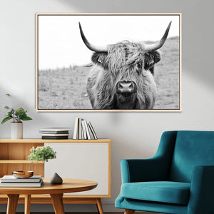Newfoundland Cow Art Wall Art, Black White Cow Art Wall Art
