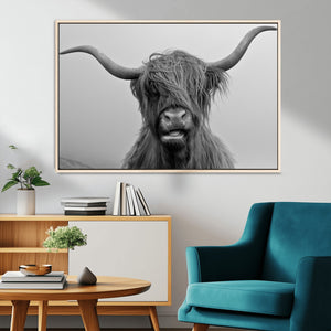 Texas Cow Wall Art Canvas, Texas Longhorn Cattle Canvas