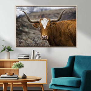 Texas Longhorn Canvas Wall Art - Longhorn Steer Canvas Wall