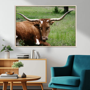 Longhorn Cow Animal Wall Art Canvas Print