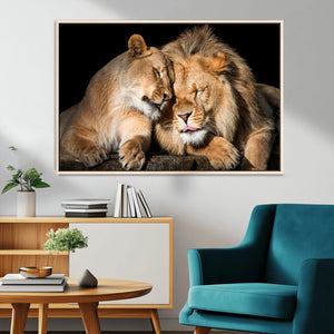 Lion and Lioness Wall Art Canvas Print – Framed African