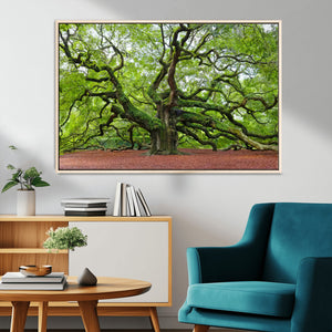 Framed Angel Oak Tree Wall Art - 3-Panel Canvas Prints,