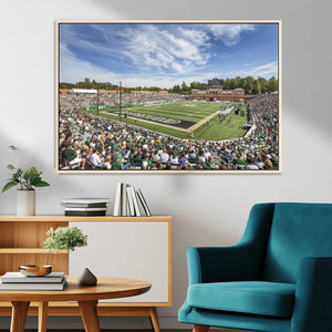 University of Charlotte 49ers Football Team Print -