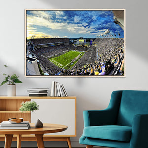 Framed USF Bulls Football Team Print - Tampa Raymond James