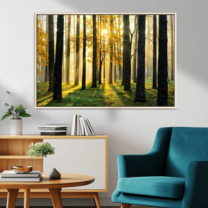 Sunlit Forest Wall Art Canvas Print – Large Framed Woodland