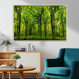 Lush Green Forest Canvas Print | 3-Panel Forest Wall Art |