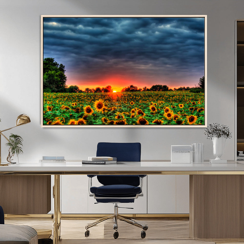 Golden Sunflower Field at Sunset – Breathtaking Sky and